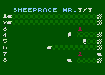 Sheep-Race