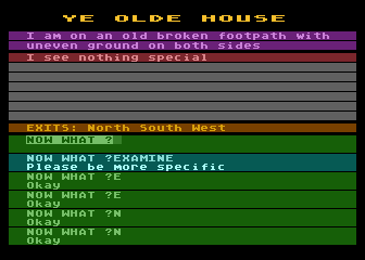 Ye Olde House